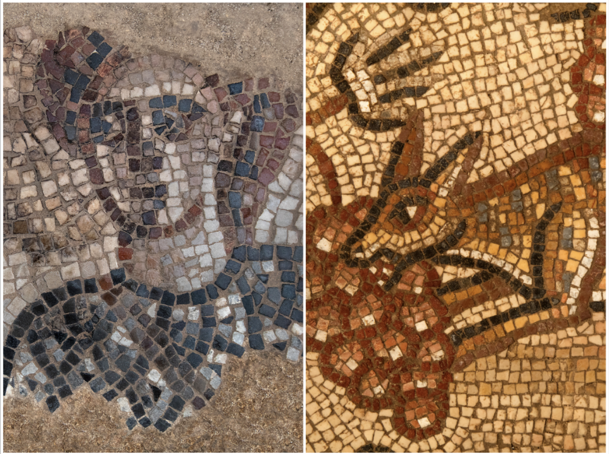 Image depict mosaic art of a person and fox excavated from ancient Jewish synagogue by Jodi Magness and Huqoq Excavation Project team in 2022.