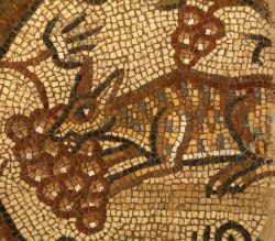 Mosaic depicting a fox eating grapes in the ancient synagogue at Huqoq