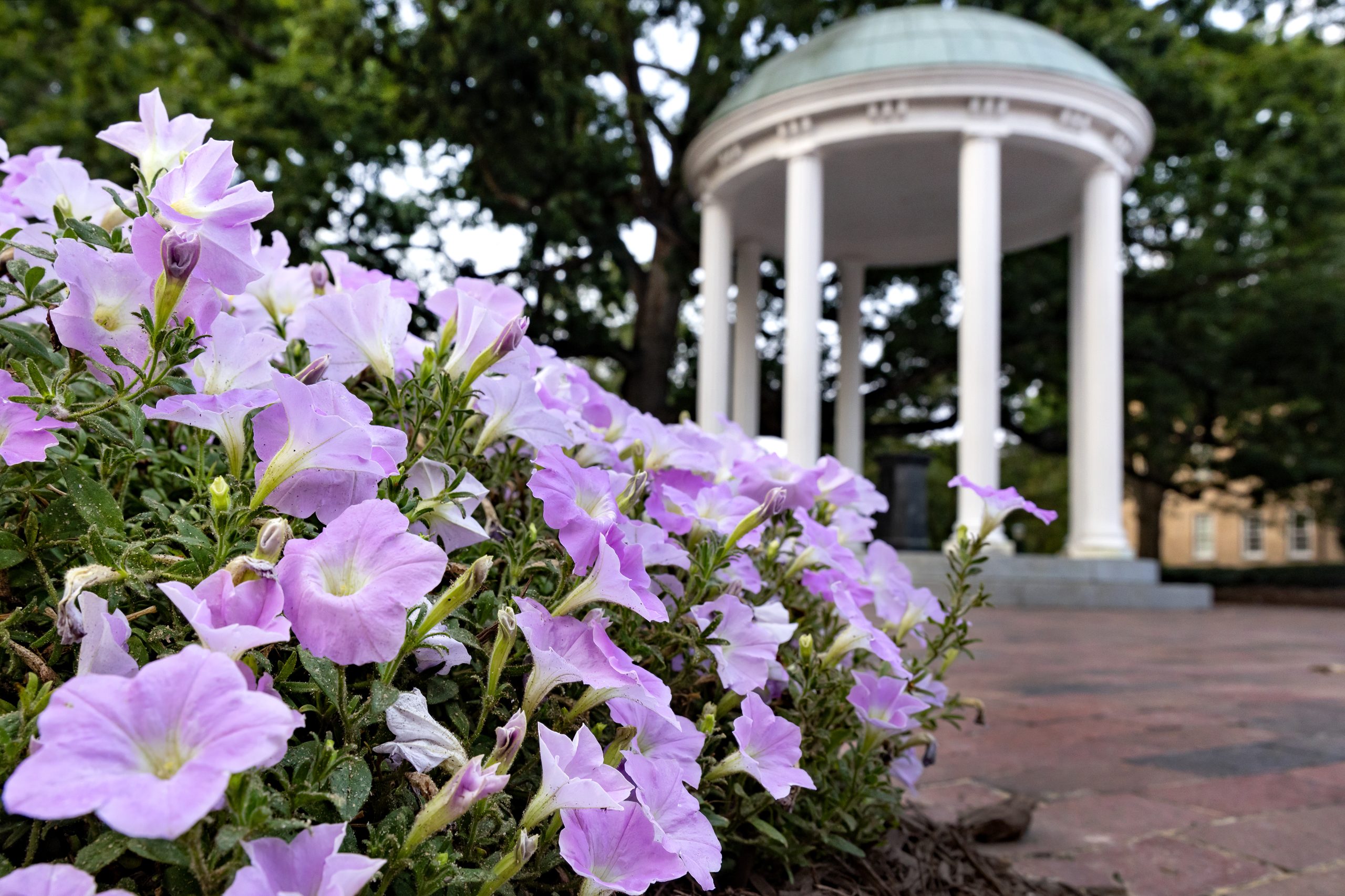 View of the Old Well on August 22, 2023, on the campus of the University of North Carolina at Chapel Hill.